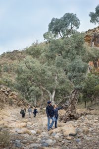FlindersBushRetreats040817-0459