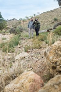 FlindersBushRetreats040817-0660