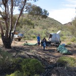 Secluded Campsites